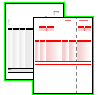 Laser Forms & Cheques